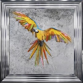 Beautiful Flying Parrots