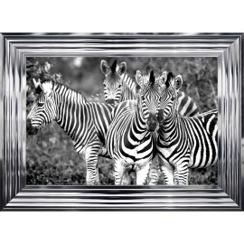Family of Zebras
