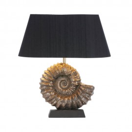 Ammonite table lamps